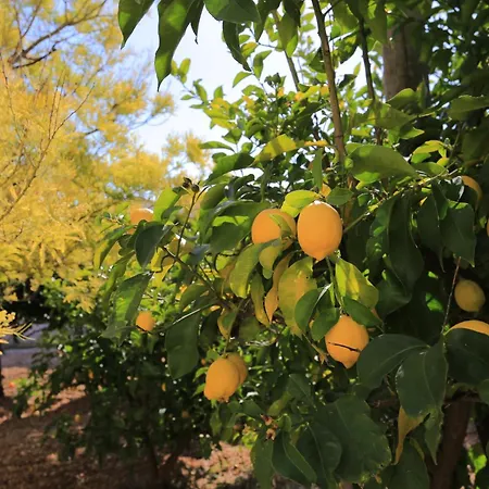 With Parking Space - 18116