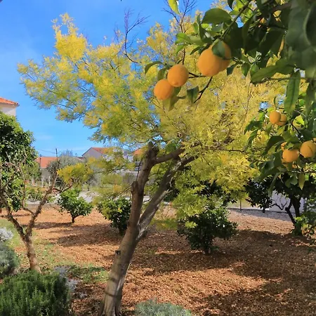 شقة With Parking Space - 18116 تروغير